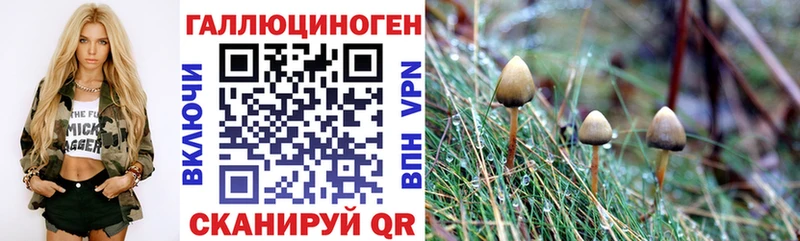 Псилоцибиновые грибы Magic Shrooms  Купить где  Одинцово 